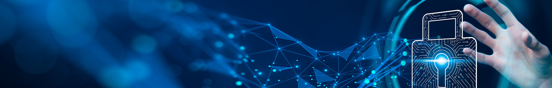 Portfolio Banner